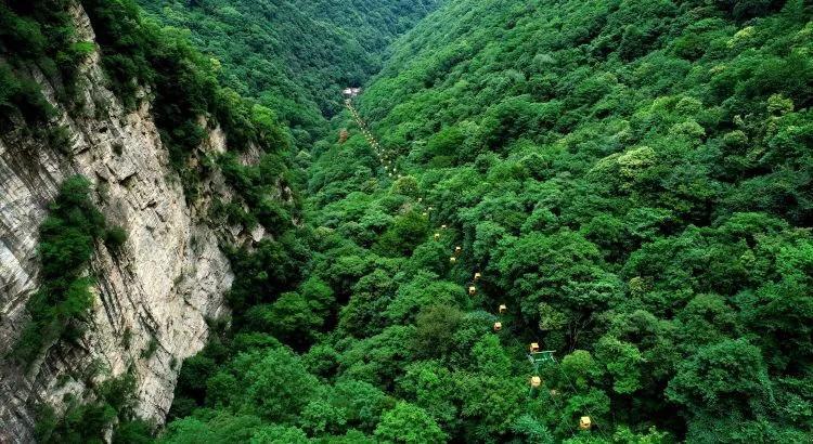逃出安逸小乡村